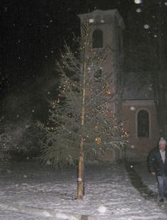 Vánoční strom - Jivjany 
