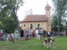 Oranžová stuha - celostátní kolo